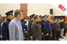 催收年终个人总结